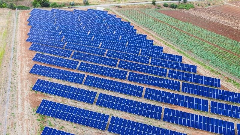 El impacto de los paneles solares en el sector agrícola y ganadero